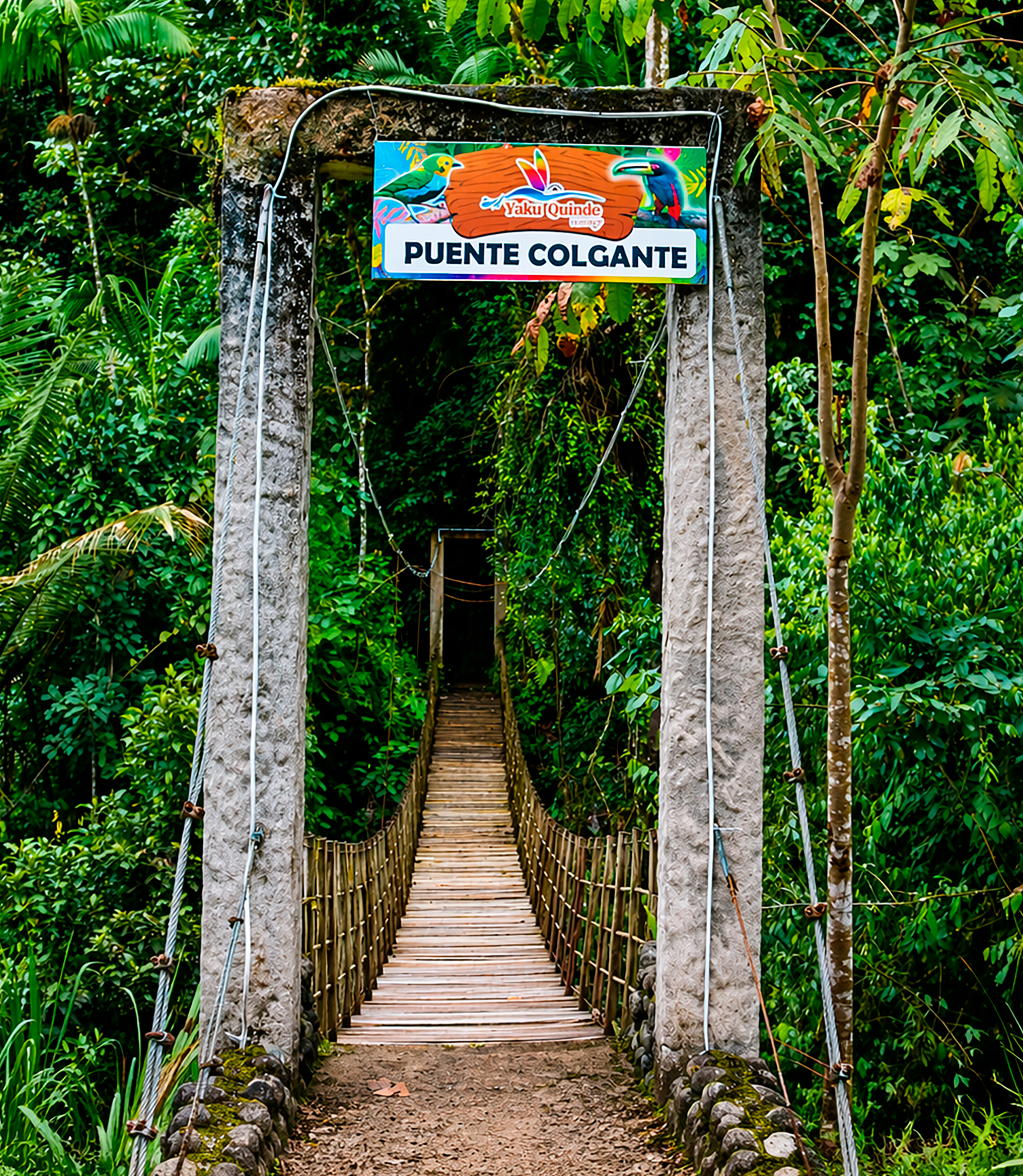 Actividades puente colgante