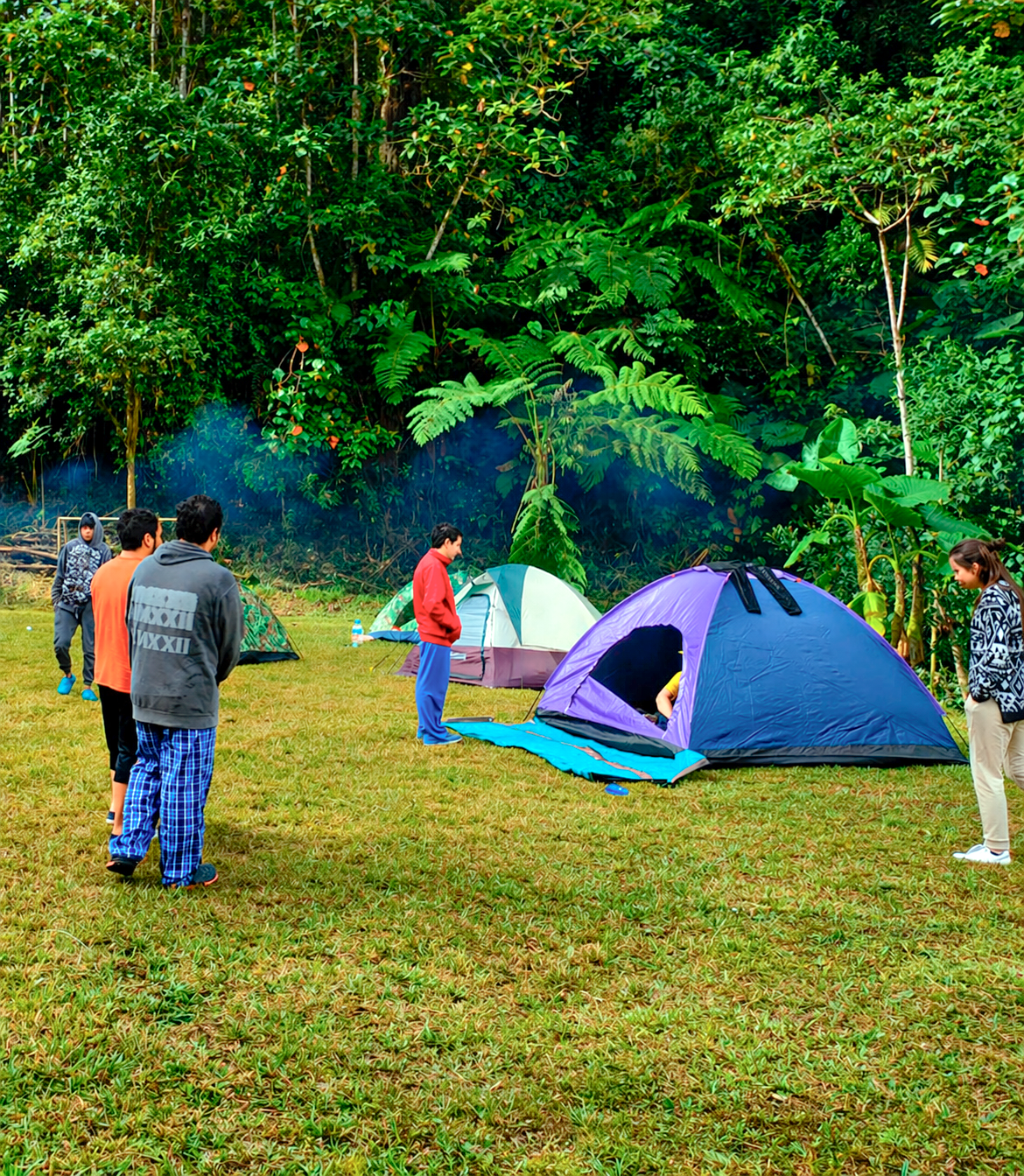 Actividades acampar