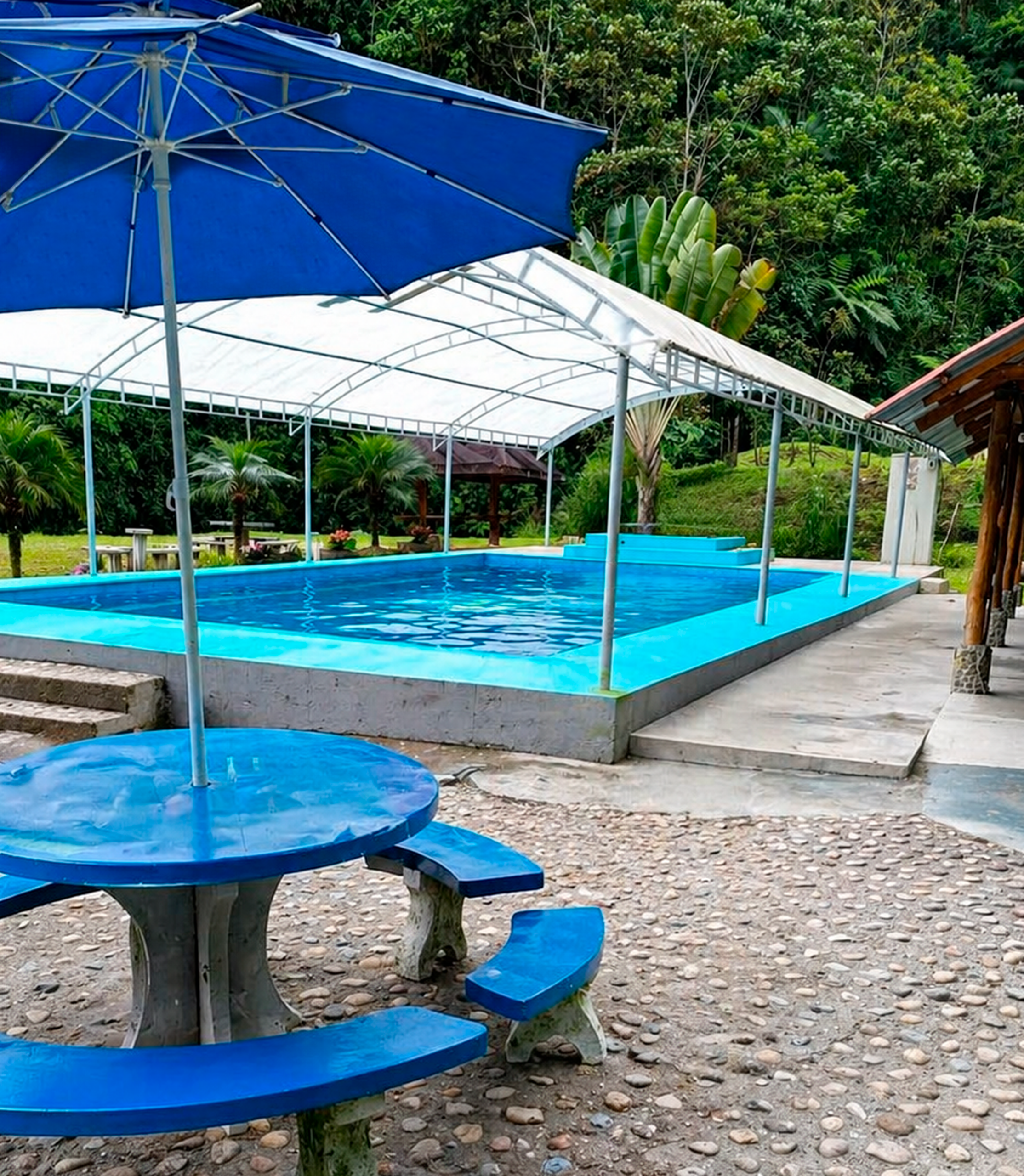 Actividades piscina